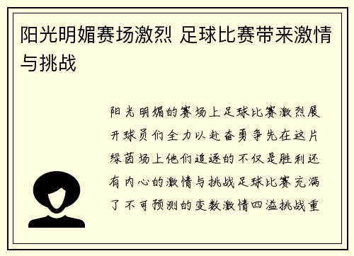 阳光明媚赛场激烈 足球比赛带来激情与挑战