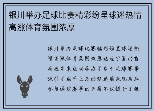 银川举办足球比赛精彩纷呈球迷热情高涨体育氛围浓厚