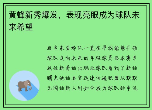 黄蜂新秀爆发，表现亮眼成为球队未来希望