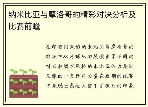 纳米比亚与摩洛哥的精彩对决分析及比赛前瞻