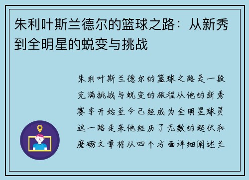 朱利叶斯兰德尔的篮球之路：从新秀到全明星的蜕变与挑战